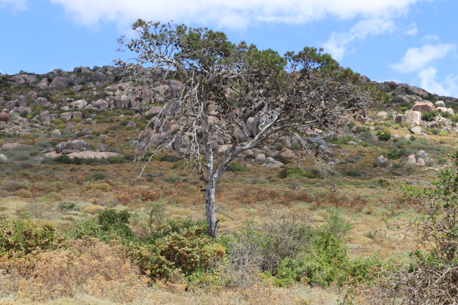 0 Bedroom Property for Sale in St Helena Views Western Cape